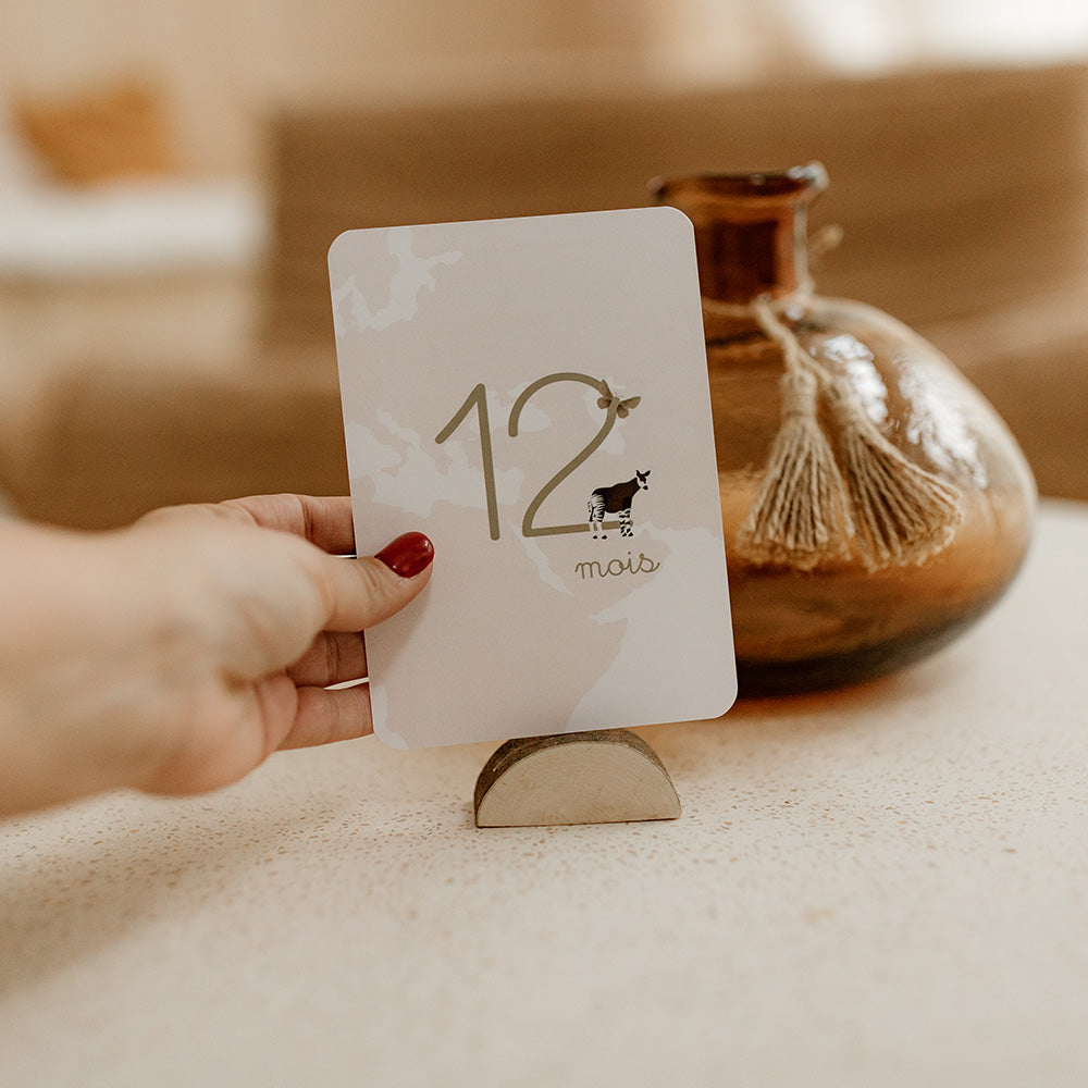 carte étape douze mois tapilou x babyatoutprix