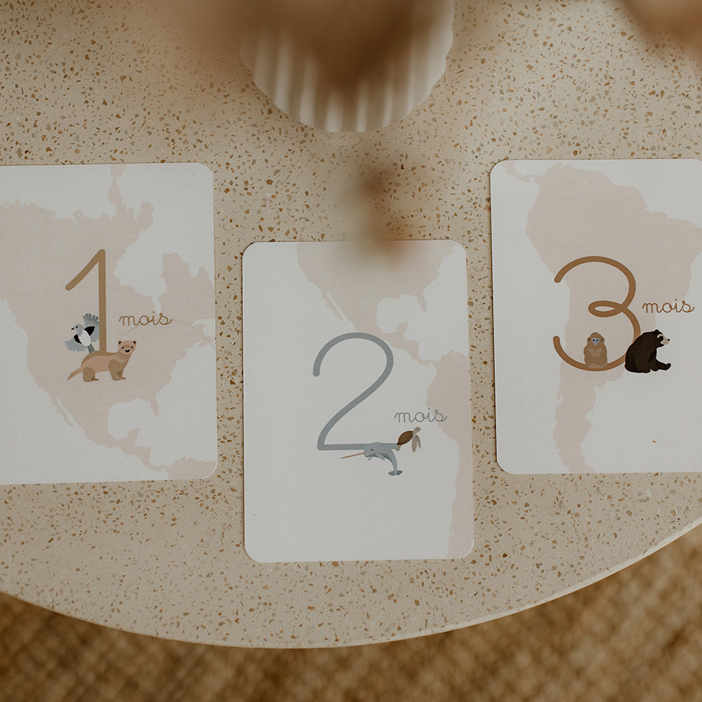 cartes étapes mois bébé tapilou x babyatoutprix