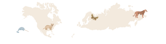 motif carte du monde tapis de jeu tapilou